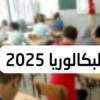 وزارة التربية … تفتح باب التسجيل عن بعد للمترشحين لإجتيار باكالوريا 2025