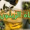 مفتي الجمهورية … نصاب زكاة الزيتون …